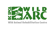 Wild Arc